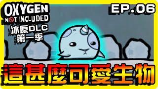 【缺氧】發現可愛生物！栓角海豹好可愛喔！！|| 哈記Hagee ||  冰原DLC EP.06 || CC字幕