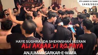 Haye Sughra Da Shahaneshah Veeran | Anjuman Sarkar E Wafa | Anjuman Alamdare Hussain