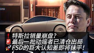 特斯拉暴跌是抄底机会？FSD认知差即将颠覆全球！2025年股价能上809美元？