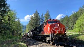 Thowback! CN 354 (Mixed Train) W/ BC Rail C40-8Mu, IC C40-8W & BNSF DPU @ Spuzzum BC Canada 01MAY20