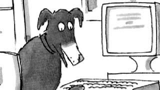 hunde im internet