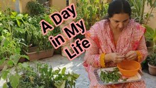 A Day in My Life Pakistani Mom Morning to Evening Routine |Single Mom Routines| Hindi Lockdown Vlogs