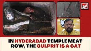 Meat in Hyderabad temple brought in by cat