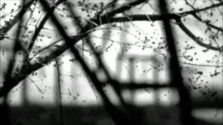 If Concrete Trees Were Possible