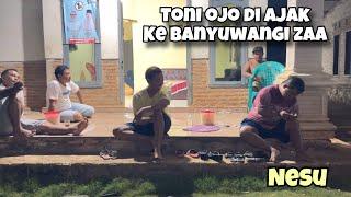 MAS TONI NGAMUK NESU‼️Pengen ikut Bajidot ke Banyuwangi | di jarak kang ROjak | lampung