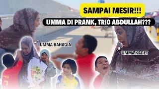 AKHIRNYA UMMA SAMPAI DI MESIR.. ANAK-ANAK PRANK