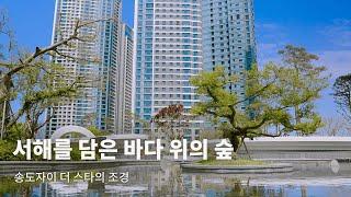 SENSE l 서해를 담은 바다 위의 숲