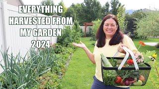 Everything I Have Harvested From My Garden In 2024!