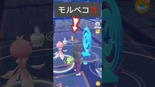 【ポケモンGO】モルペコが現れた!!【When I Got Morpeko Pokémon GO】