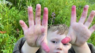 From Camper Renovation to Berry Harvest: Blueberry Picking in the Heart of Alaska!