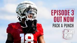 Flight Plan: Pack A Punch | Arizona Cardinals