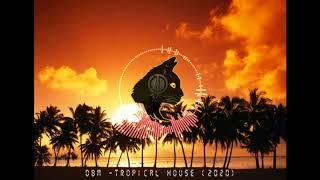 DBM -The Best Tropical house (Kygo Style) #2