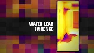 What You Can See with Thermal Imaging FLIR - Ti Thermal Imaging LTD