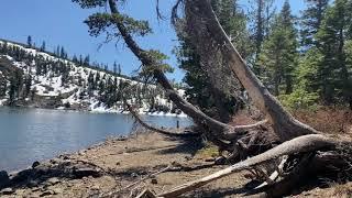 Come Hike With Me! Carr, Feely, Bowman Lakes + lo fi music - Hike California