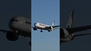 Singapore Airlines Boeing 787-10 landing at Adelaide Airport #shorts #boeing #aviation #adelaide