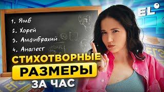 СТИХОТВОРНЫЕ РАЗМЕРЫ В ЕГЭ ПО ЛИТРЕ ЗА ЧАС | Юля Литра EL