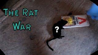 Checking The Rat Traps  (The Trapping Shed Saga) Success!