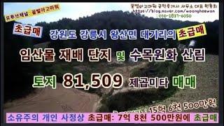 (급매)  임산물 재배 및 수목원화 체험장 토지 및 임야 24,662평 급매매(Thanks for Honeybee the real estate Agency in Korea)