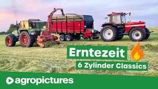 Mais häckseln mit Fendt Favorit 615 LS | Sechszylinder Traktor Sound: Case 1455, MB Trac, John Deere