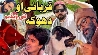 Qurbani Ao Dhoka Funny Video By PK Plus Vines 2025