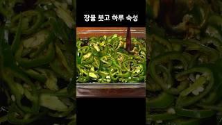 고추는 무조건 사오세요! 바로먹는 고추채 장아찌 레시피