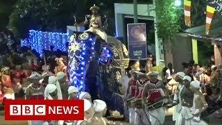 Sri Lanka elephant runs amok in parade - BBC News