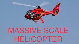 Massive Roban EC130 800 sized scale helicopter on its maiden flight