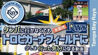 【タンパベイレイズ・トロピカーナフィールド】フロリダタンパに行かなくてもレイズの本拠地トロピカーナフィールドに行った気分になる動画【メジャーリーグ・タンパベイレイズ・動画】