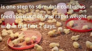 How to improve broiler weight and profit within a short time of 28 days using the 7 days weight gain