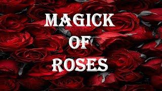 The Magical Power of Roses in Witchcraft 