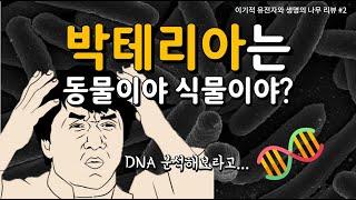 박테리아를 동물이나 식물로 분류할 수 있을까? 분자시계로 생명을 새롭게 분류하다(이기적 유전자와 생명의 나무 #2)