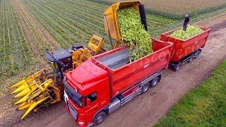 Harvest And Process Millions Of Tons Of Sweet Corn - American Agricultural Technology