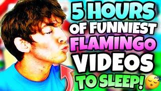 *5 HOURS* OF “FUNNIEST” FLAMINGO TO FALL ASLEEP!