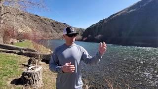 Red's University of Fly Fishing