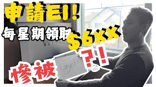 【E加生存之道】開始進入Layoff潮?！被解雇後如何自保？8分鐘快談Layoff問題｜申請EI需知【中文字幕】