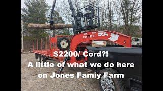 How I PROFIT $2200/Cord with Firewood