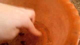Купание маленьких "улинят" Ахатинов