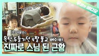 불교계 레전드 불교 베이비에서 더 업그레이드! 스님 되다! 좌충우돌 출가 대소동┃The Buddhist Baby Became a MONK!