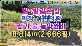 전기,물,농막 완비된 막장 자연인땅!임야+전!8,814㎡/2,666평(청송군 파천면 토지매매)