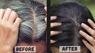 White Hair To Black Permanently in 30 Minutes Naturally | Coffee For Jet Black At Home | 100% Works