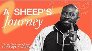 A Sheep's Journey - Ebenezer Quaye