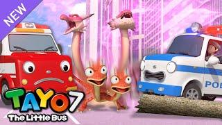 [NEW] Tayo S7 EP5 Magical Animal Chaos! l Tayo English Episodes l Tayo the Little Bus