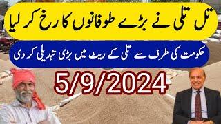 Today Till Rate | خوشخبری تلی کی قیمت میں اضافہ