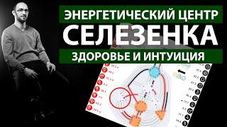 Это важно знать каждой маме. Энергетический центр Селезенка  Дизайн Человека.