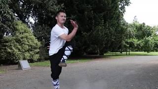 Learn Shaolin Kung Fu, Wushu Online Step By Step