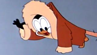 Chilly Willy Full Episodes I'm Cold - Chilly Willy old cartoon Videos for Kids