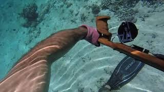 JOINTS SPEARFISHING TAHITI - HOW TO LOAD A VAU IN THE WATER - INVERT ROLLERS - FRENCH POLYNESIA