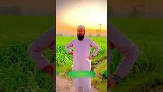 #umarusmani