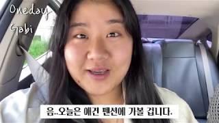 [애견 펜션 가서 사람도 신나는 이유] 드라이브/ 고기파티/바다/숙소