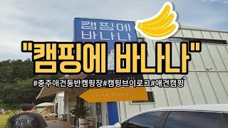 [애견동반캠핑]캠핑에바나나캠핑장｜애견동반캠핑장｜캠핑브이로그 ｜충주캠핑장